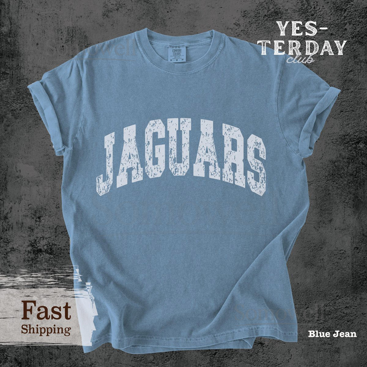 Vintage Jaguars Mascot Shirt Comfort Colors Distressed School Mascot Shirt Retro Game Day Shirt school spirit tee Jaguars Team _1017