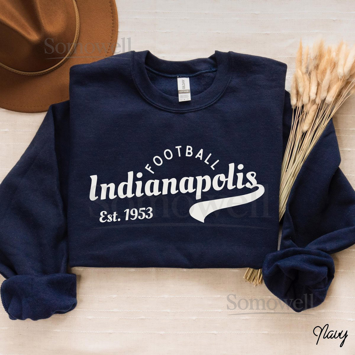 Cozy Indianapolis Football Sweatshirt Indiana Football Fan Crewneck Sunday Game Day Sweater Cozy Colt Fans Gift _80