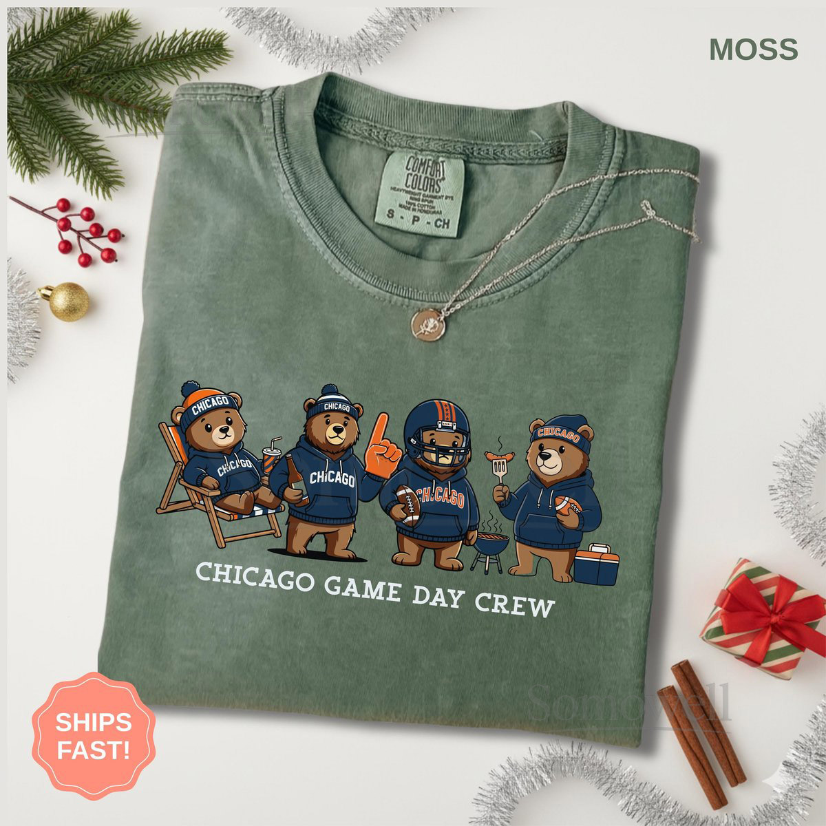 Cute Chicago Football Shirt Trendy Game Day 4 Bear T-Shirt Football Fan Sports Gift Unisex Comfort Colors Tee For Men Women_389