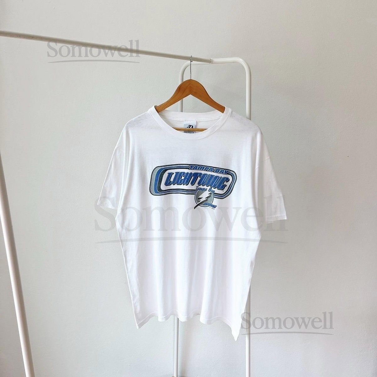 Vintage 1990s Tampa Bay Lightning NHL vintage Dynasty t-shirt L_392