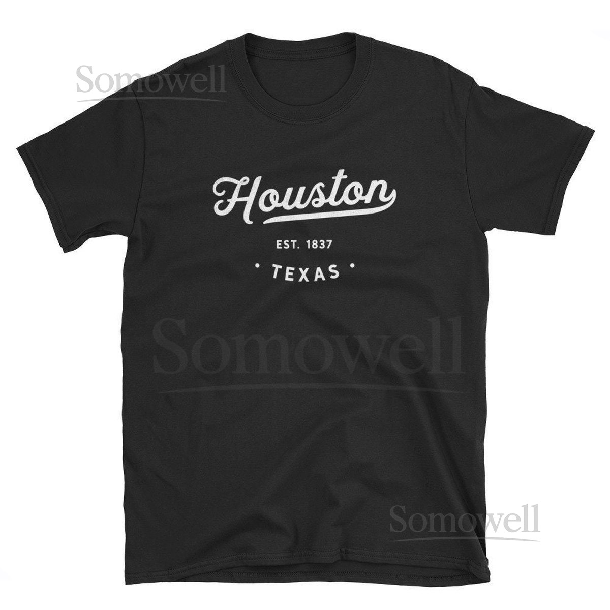 Houston Texas Pride USA Gift _361