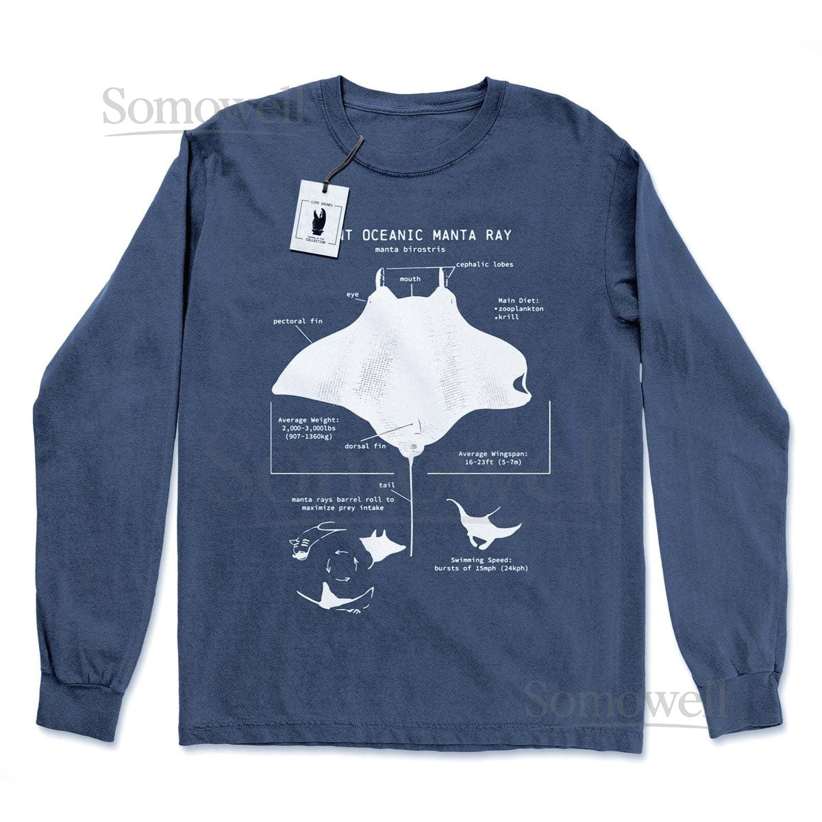 Manta Ray Anatomy Long Sleeve Manta Ray Shirt Marine Biology Shirt Manta Ray Long Sleeve Science Illustration Manta Ray Gifts_599