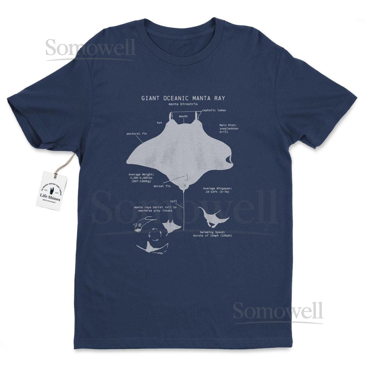 Manta Ray Anatomy T-shirt - Hand Screen Printed Soft Cotton Shirt - Giant Manta Ray Biology Drawing_600