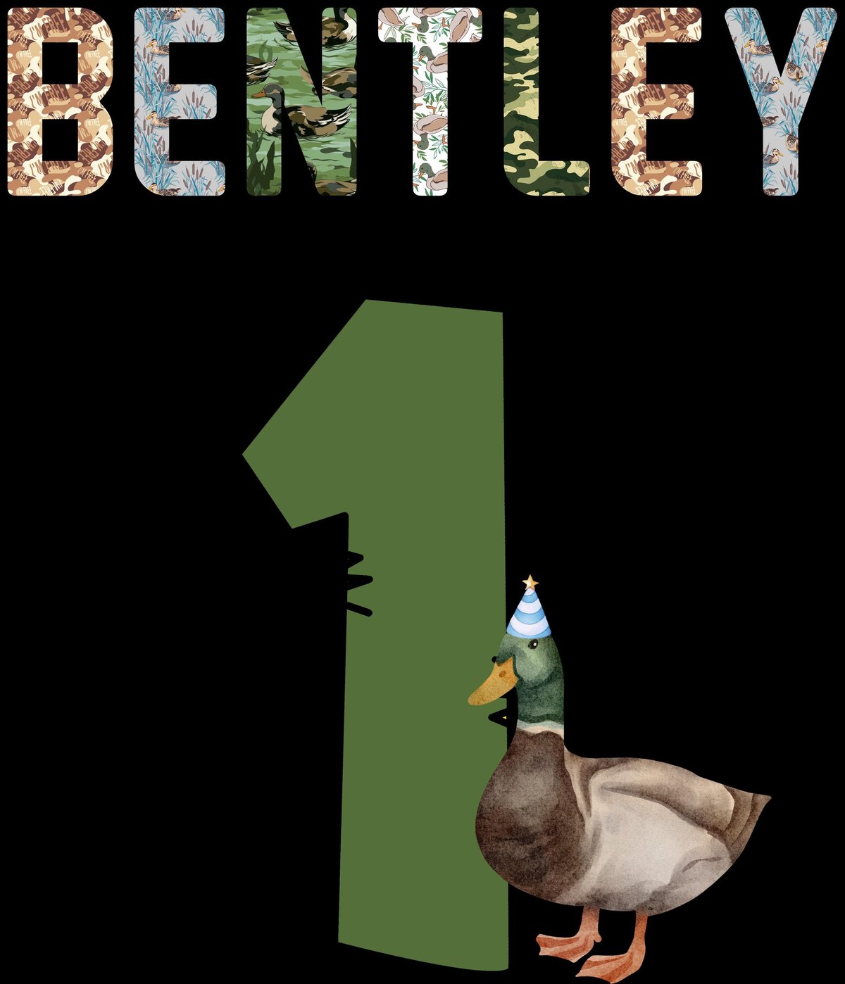 Birthday Boy Mallard Duck 171